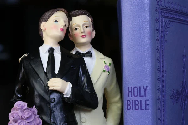 Casamento Homossexual Casal Gay Bíblia Sagrada França — Fotografia de Stock