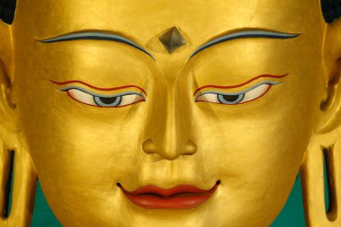 Bin Buda 'nın tapınağı. Dashang Kagyu Ling cemaati. Shakyamuni Buddha. Yakın plan..