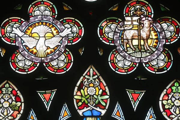 圣三一教堂日内瓦 缝隙玻璃窗 圣灵和神的羔羊 — 图库照片