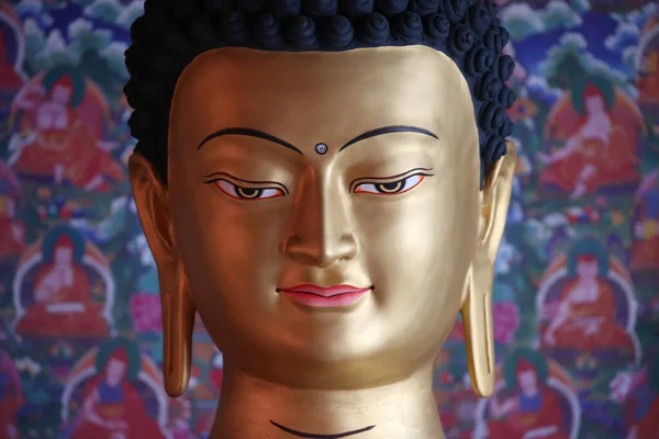 Монастырь Шедруб Чхоухор Линг Статуя Будды Буддийская Религия Франция — стоковое фото