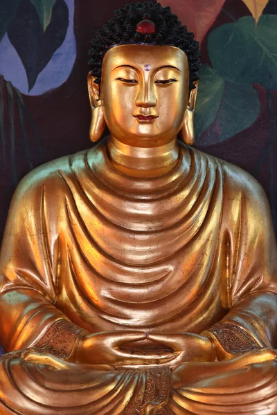 Tempio Hong Hien Statua Buddha Religione Buddista Francia — Foto Stock
