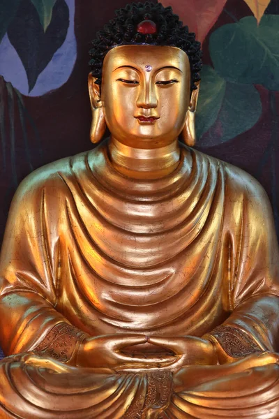 Temple Hong Hien Statue Bouddha Religion Bouddhiste France — Photo