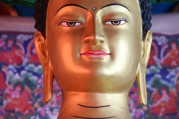 Klášter Shedrub Choekhor Ling Socha Buddhy Buddhistické Náboženství Francie — Stock fotografie