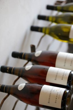 Özel bir evde şarap mahzeni. Fransız şarabı.. 