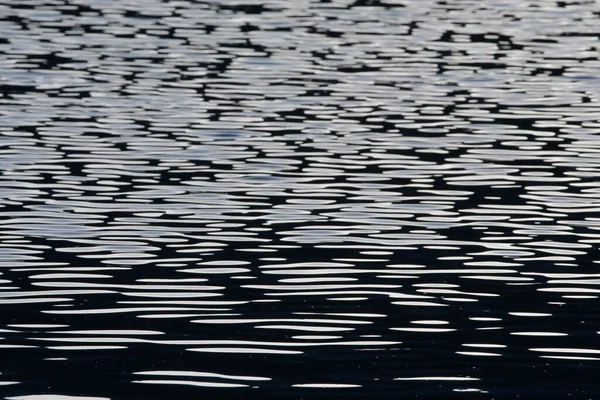 Naturaleza Reflexión Sobre Lago Passy — Foto de Stock
