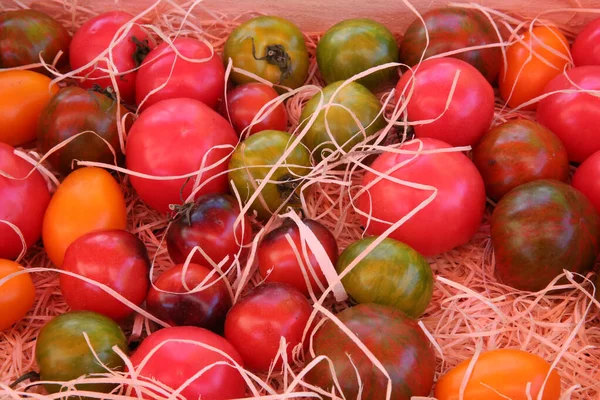Farbige Bio Tomaten Auf Dem Markt — Stockfoto