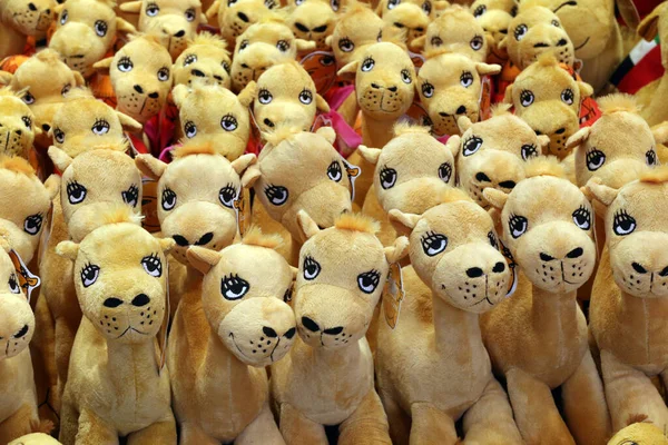 Туристичні Сувеніри Набиті Іграшки Верблюда Оае — стокове фото