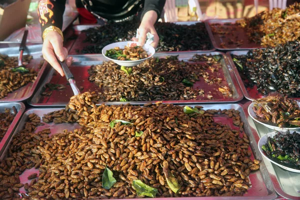 Voedselmarkt Weergave Van Gebakken Insecten Ben Vientiane Laos — Stockfoto