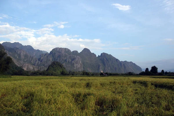 Campos Arroz Com Impressionante Queda Montanha Vang Vieng Laos — Fotografia de Stock