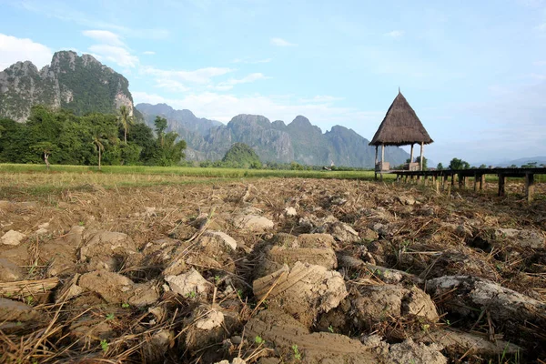 Campos Arroz Com Impressionante Queda Montanha Vang Vieng Laos — Fotografia de Stock