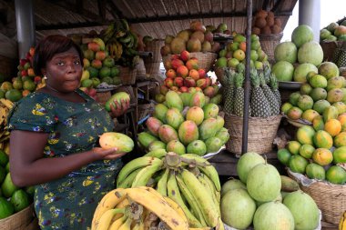 Afrika taze meyve pazarı. Togo. 