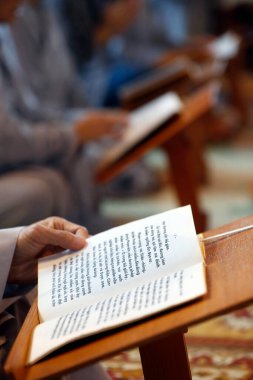 Chua Tu An Budist tapınağı. Budist kutlaması. Saint-Pierre en Faucigny. Fransa.