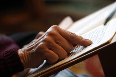 Chua Tu An Budist tapınağı. Budist kutlaması. Saint-Pierre en Faucigny. Fransa.