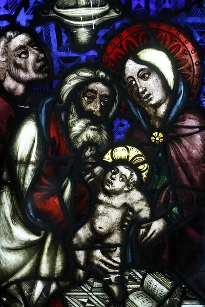 Oeuvre Notre Dame Museum Скляне Скло Представлена Храмі Століття Страсбург — стокове фото