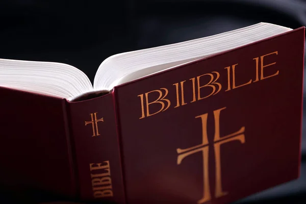 Man Som Läser Bibeln Kristen Tro — Stockfoto