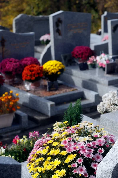 Кладбище День Святых Хризантема Могиле Сен Жерве Франция — стоковое фото