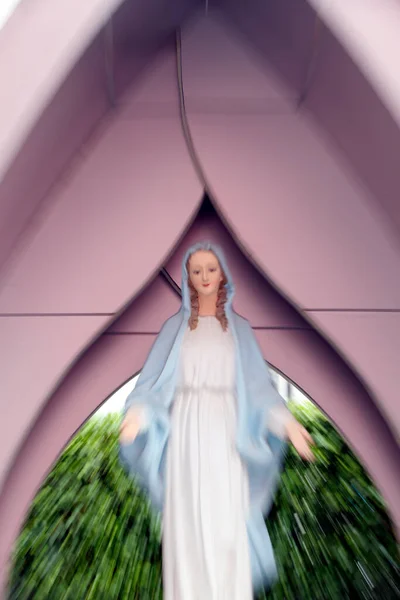 Jeesuksen Pyhän Sydämen Kirkko Nha Tho Tan Dinh Neitsyt Marian — kuvapankkivalokuva