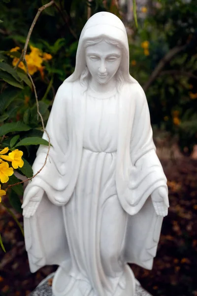 Virgin Mary Statue Cai Vietnam — Stock Photo, Image