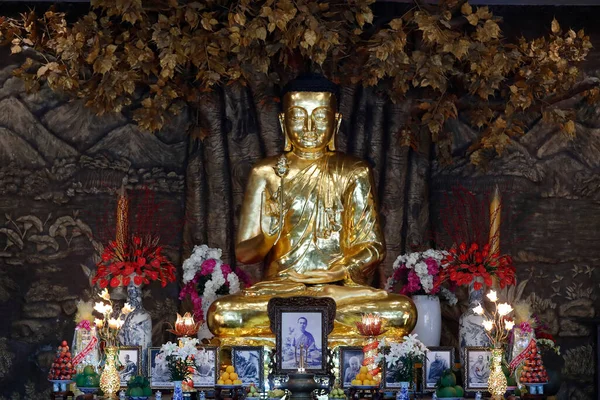 Temple Bouddhiste Minh Dang Quang Bouddha Doré Avec Fleur Lotus — Photo