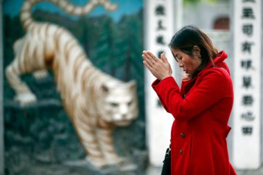Jade Dağı Tapınağı (Ngoc Son Tapınağı). Kadın kaplana dua ediyor. Hanoi. Vietnam.