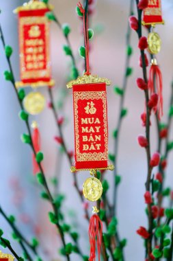  Çin Yeni Yıl ağacı. Kırmızı renk iyi şansın sembolüdür. Öyle de olabilir. Vietnam. 