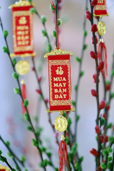 Çin Yeni Yıl Ağacı Kırmızı Renk Iyi Şansın Sembolüdür Öyle — Stok fotoğraf
