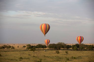 Afrika savanasının üzerinde sabahın erken saatlerinde sıcak hava balonu uçuşu. Masai Mara oyun rezervi. Kenya. 