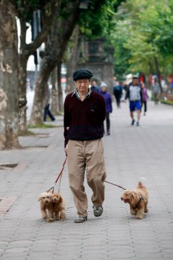 Hanoi 'deki Old Quarter' ın tipik caddesi. Üç köpeği olan yaşlı bir adam. Hanoi. Vietnam.