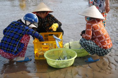 Sahildeki balık pazarı. Vung Tau. Vietnam. 