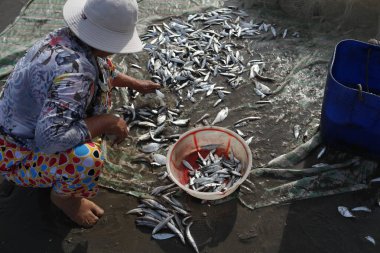 Sahildeki balık pazarı. Vung Tau. Vietnam. 