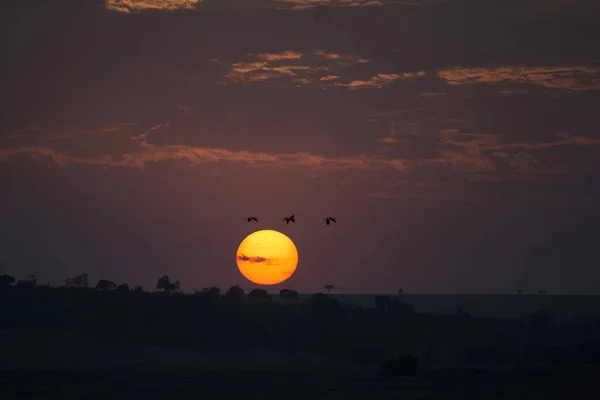 Sol Levanta Sobre Savanna Reserva Caza Masai Mara Kenia — Foto de Stock