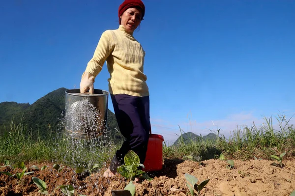 Rural Life Farmer Watering Vegetable Field Bac Son Vietnam — Stock Photo, Image