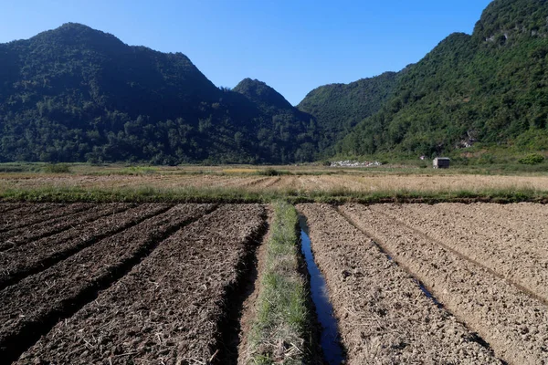 Vida Rural Campos Legumes Filho Bac Vietname — Fotografia de Stock