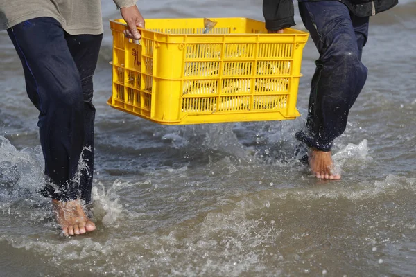 Fischer Sortieren Den Fang Vung Tau Vietnam — Stockfoto