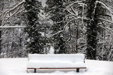 Le Fayet Parc Termal. Karlı bankta. Fransa.