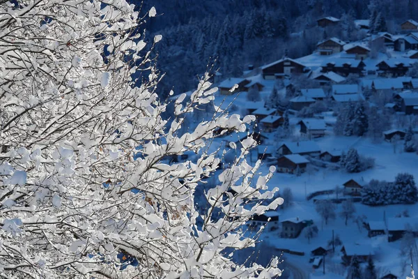 Franska Alperna Snötäckt Träd Vintern Saint Gervais Frankrike — Stockfoto