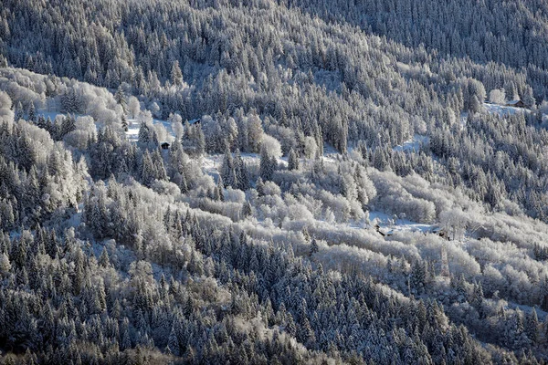 Franska Alperna Prarion Snötäckta Granar Vintern Saint Gervais Frankrike — Stockfoto