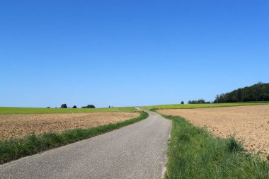 Kırsal kesimde dar bir yol. Alan ve tarım. 