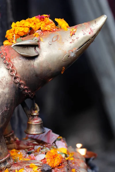 Gyllene Råtta Fordon Ganesh Uppe Sockel Kasthamandap Durbar Square — Stockfoto