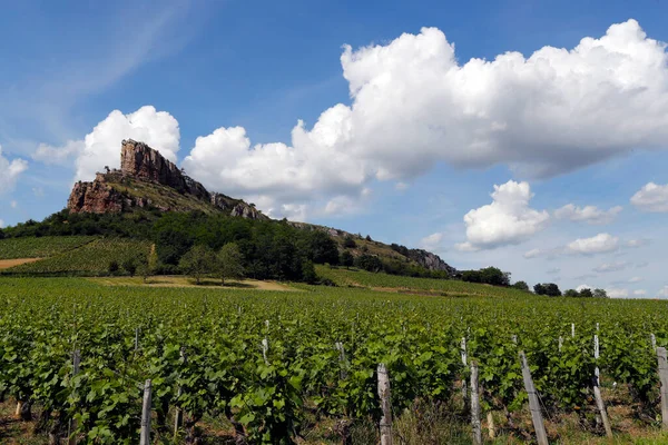 Burgundy Deki Solutre Rock Üzüm Bağları — Stok fotoğraf