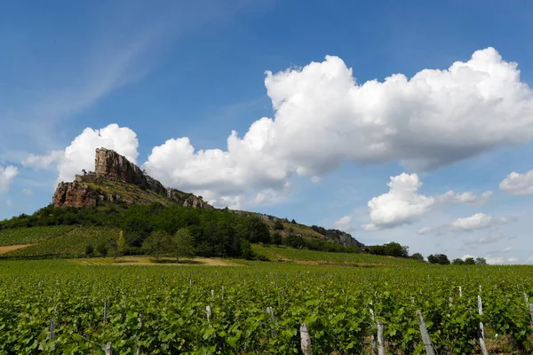 Burgundy Deki Solutre Rock Üzüm Bağları — Stok fotoğraf