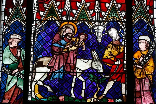 Our Lady Strasbourg Cathedral Stained Glass Window Flight Egypt Century — Stock Fotó