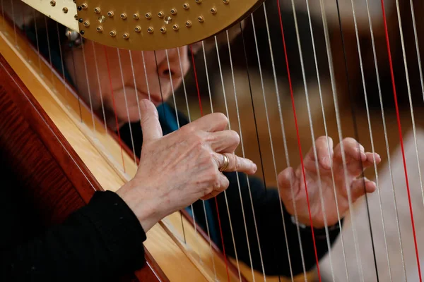 Woman Playing Harp Church Saint Nicolas Veroce Church France — Stock Fotó