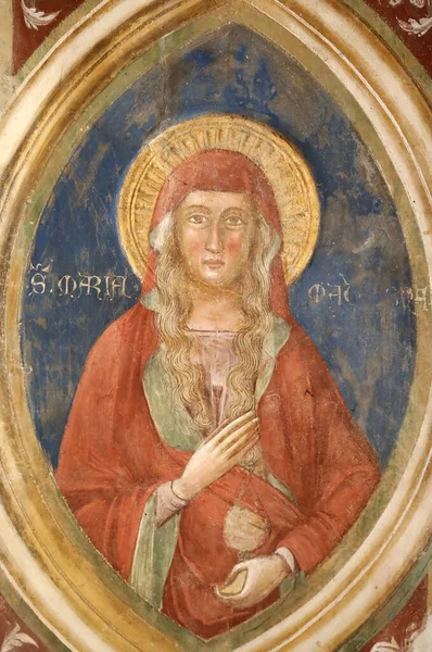 Church Eremitani Saint Mary Magdalene Wall Painting Padua Italy — 스톡 사진