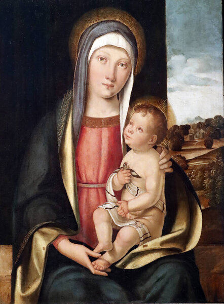 The Civic Museum Eremitani. Virgin and child by Boccaccio Bocaccino (1466 - 1525). Painting.  Padua. Italy. 