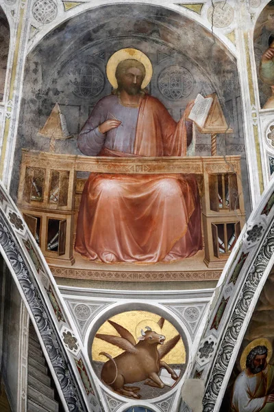 Padua Vaftizhanesi. 14. yüzyıldan kalma tavan freskleri, Giusto de Menabuoi 'den. Havari Aziz Luke. Padua. İtalya. 