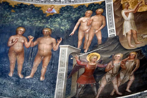 Padua Vaftizhanesi Yüzyıldan Kalma Tavan Freskleri Giusto Menabuoi Den Yaradılış — Stok fotoğraf