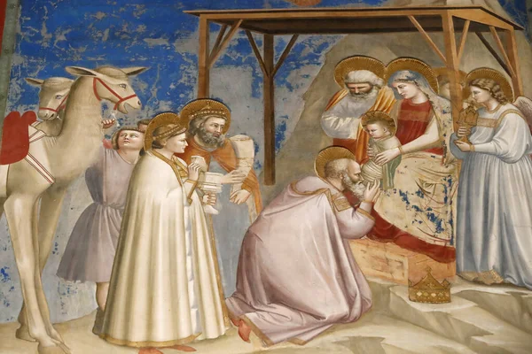Capela Scrovegni Frescă Giotto Secolul Xiv Lea Este Naşterea Lui — Fotografie, imagine de stoc