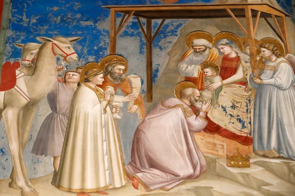 Scrovegni Şapeli. Giotto 'dan Fresco, 14. yüzyıl. İsa 'nın yerlisi. Magi 'ye tapma. Padua. İtalya. 
