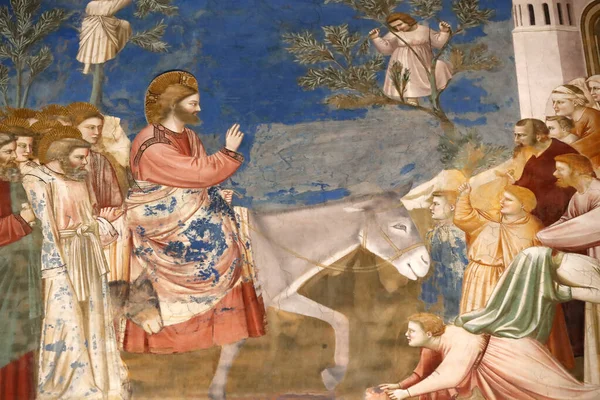 Scrovegni Şapeli. Giotto 'dan Fresco, 14. yüzyıl. İsa Kudüs 'e girer. Palm Sunday 'de. Padua. İtalya. 